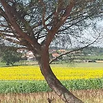 Agroturismo Le Baccane