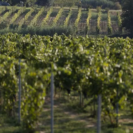 Agroturismo Le Baccane *