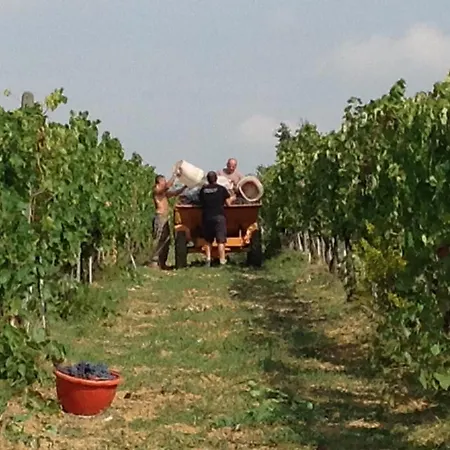 Le Baccane
